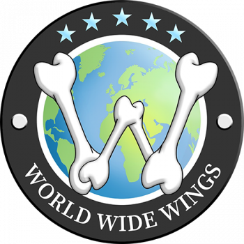 Original Worldwide Wings HD Logo 500